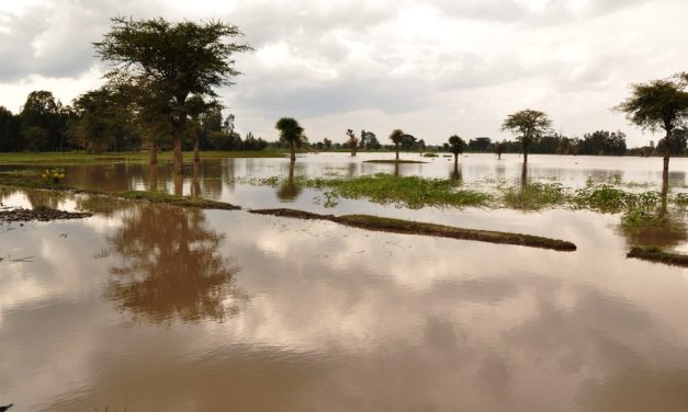 Future Climate Info’s residential environmental reports