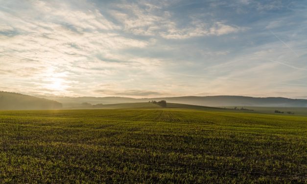 New national housing agency for England to have land buying powers