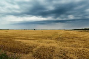 House builders face rising competition for land in the UK