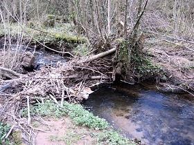 Re-wilding Streams: Letting Nature Control Flooding