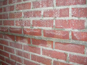 Cavity wall failure addressed in new training programme