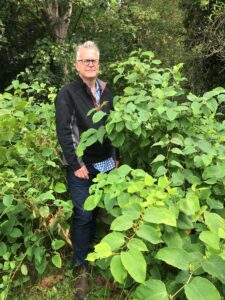Rare Bohemian Knotweed could be on the march, warns Environet