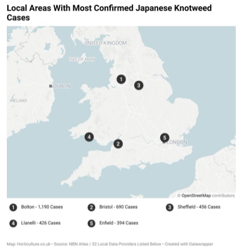 28% growth in UK Japanese knotweed cases in just 5 years