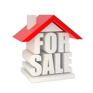 Summer property boom defies the gloom