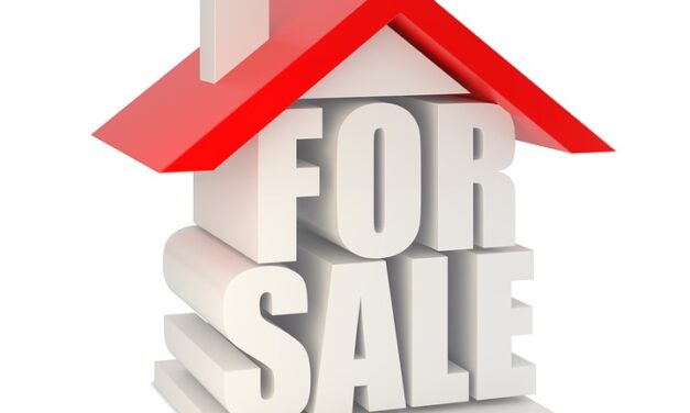 Summer property boom defies the gloom