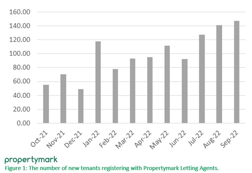 Propertymark: Tenants searching for a home reaches new peak