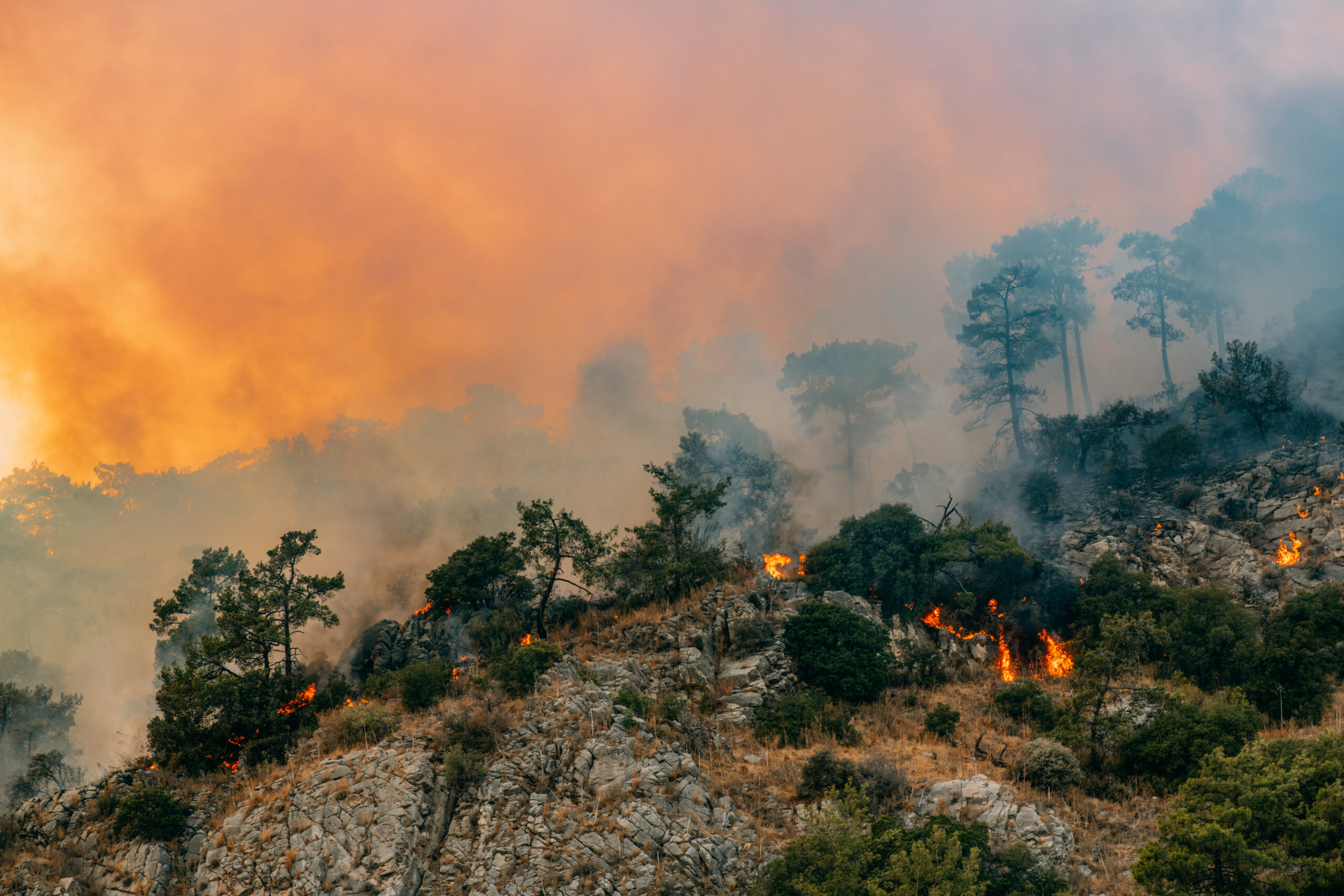 Landmark Information Group: How property lawyers can act now on climate change