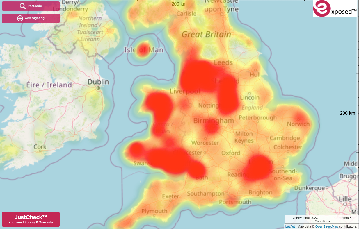 Environet: 2023 Japanese knotweed hotspots revealed