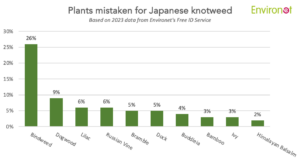 Bindweed is the plant most commonly mistaken for Japanese knotweed