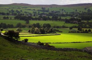 RICS: Land and Rural Manifesto overview