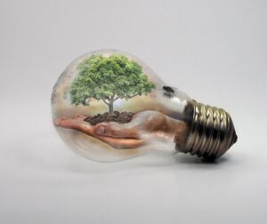 RICS reports ‘underwhelming’ commitment to green housing