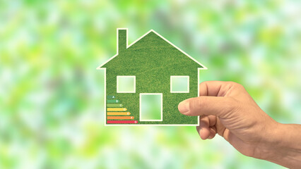 Eco-activists back plan for mandatory new build solar panels