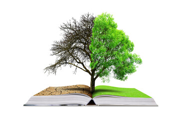 Law Society: New guidance to help solicitors navigate climate change in property transactions