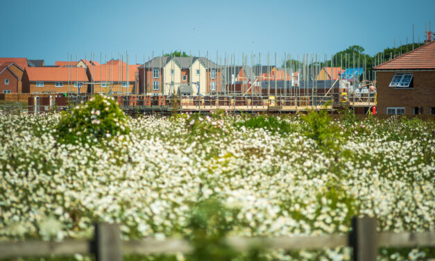 JONATHAN ROLANDE – the housing market finally gets gutsy!